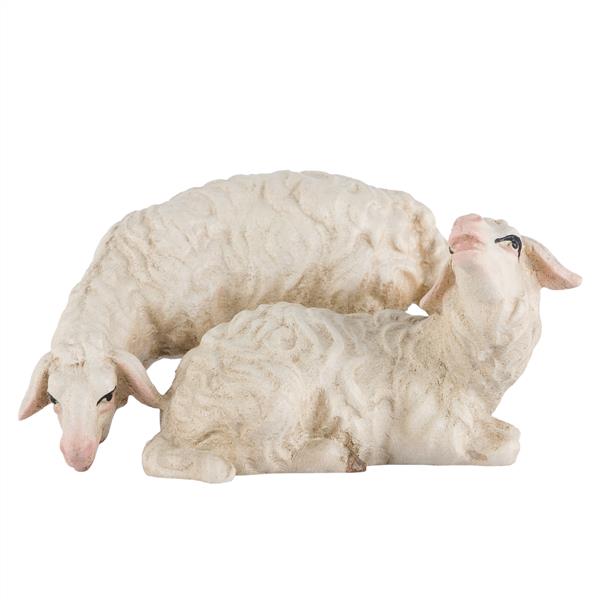 Schafgruppe Schafgruppe