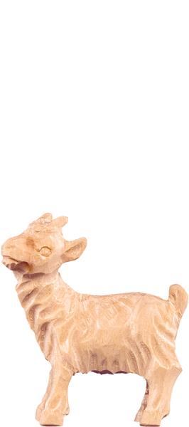 Kitz Kitz
