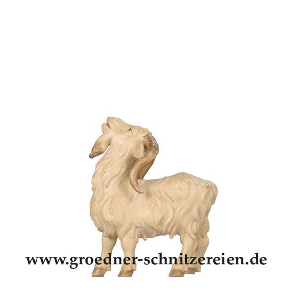 Ziegenbock