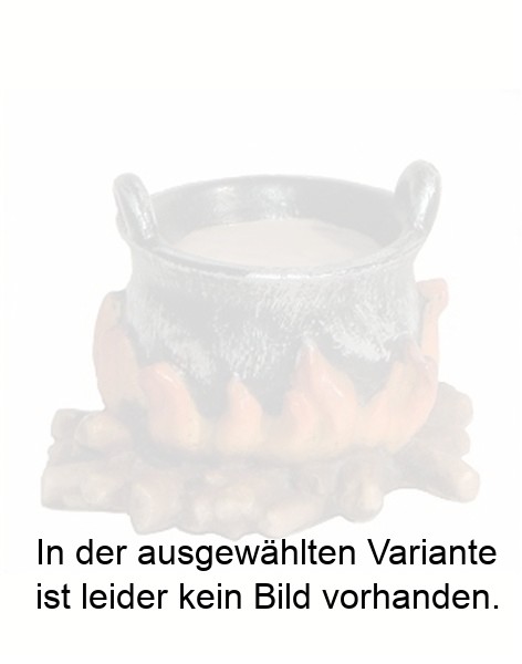 Lagerfeuer mit Topf Lagerfeuer mit Topf