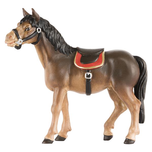 Pferd dunkelbraun