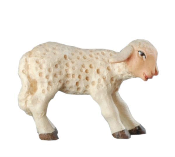 Lamm stehend Lamm stehend