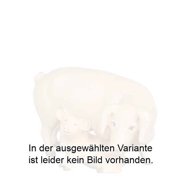 Schwein mit Ferkel Schwein mit Ferkel