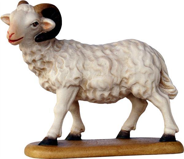 Schafbock