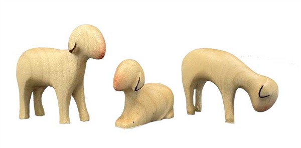 3 Schafe