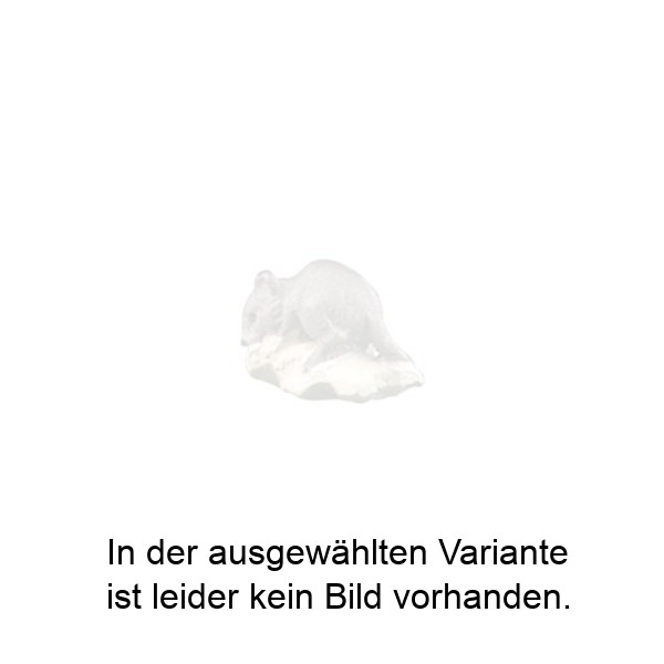 Maus auf dem Käse Maus auf dem Käse