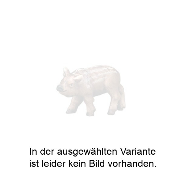 Frischling geradeausschauend