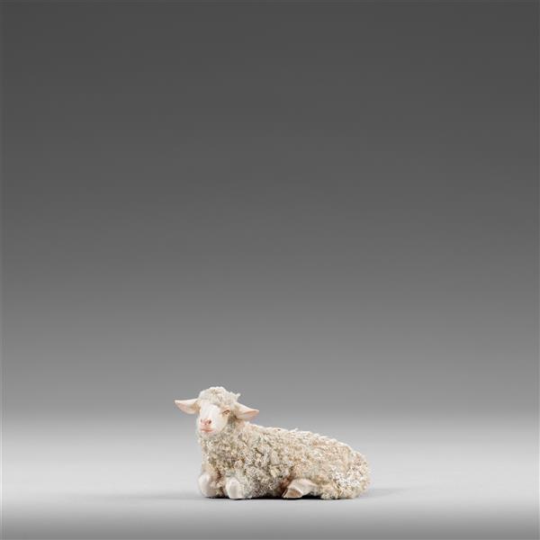 Schaf liegend Schaf liegend