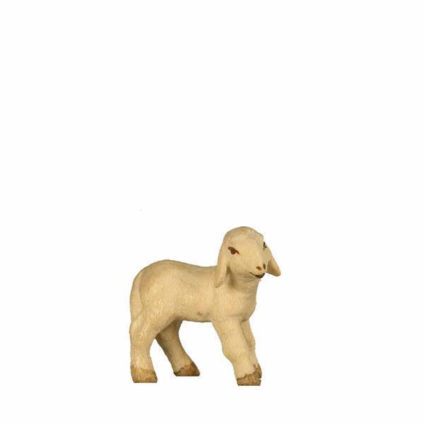 Lamm links Lamm links