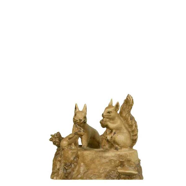 Eichhörnchen Familie Eichhörnchen Familie