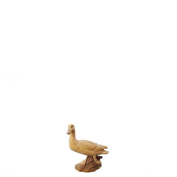 Wildente Wildente