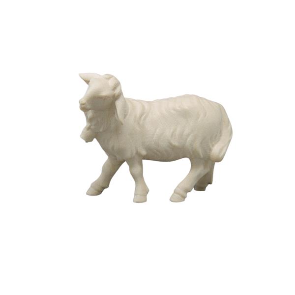 Schaf mit Glocke Schaf mit Glocke