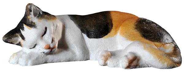 Katzenbaby schlafend