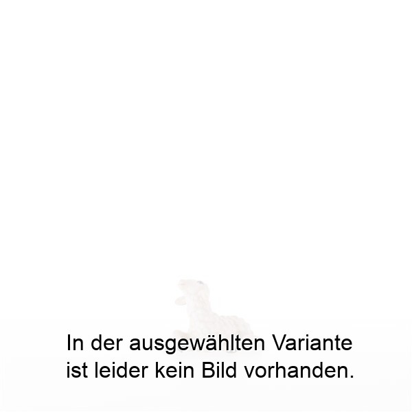 Lamm liegend Lamm liegend