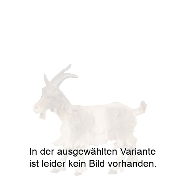 Ziege stehend Ziege stehend