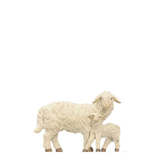 Schaf stehend mit Lamm