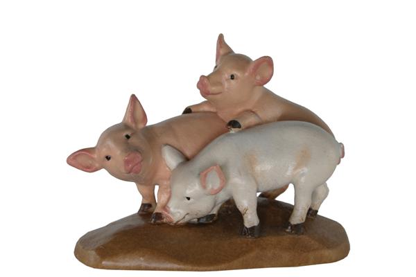 Ferkel Gruppe