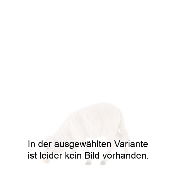 Schaf fressend Schaf fressend