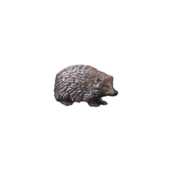 Igel nach unten schauend