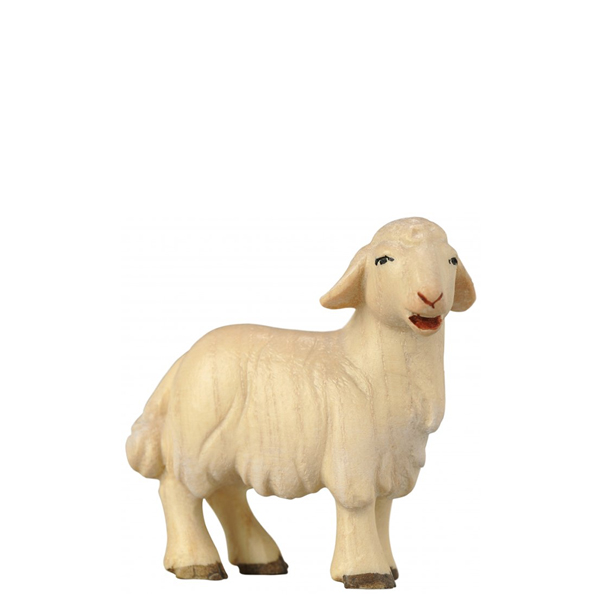 Lamm stehend Lamm stehend