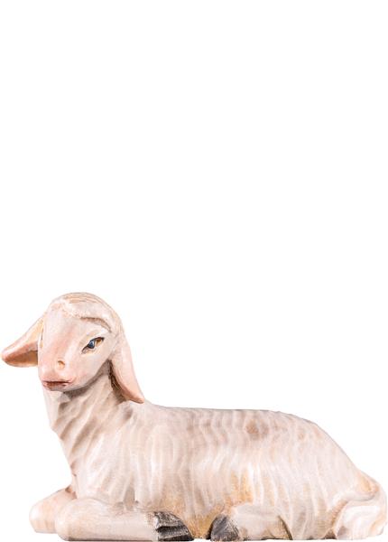 Schaf liegend Schaf liegend