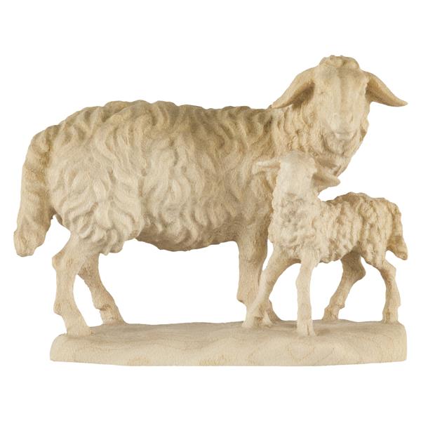 Schaf stehend mit Lamm Schaf stehend mit Lamm