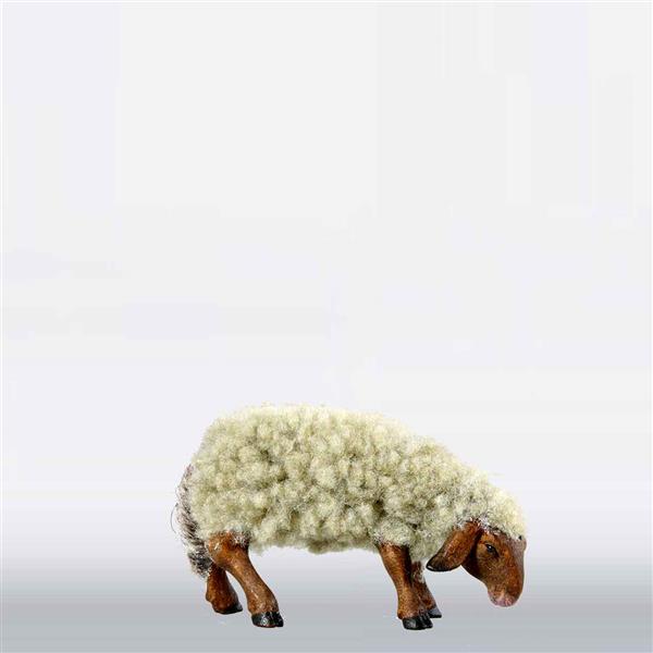 Schaf mit Wolle äsend grau