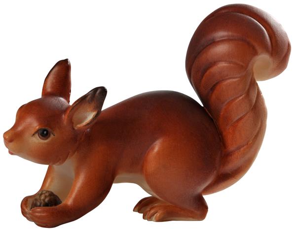 Eichhörnchen laufend rot-braun Eichhörnchen laufend rot-braun