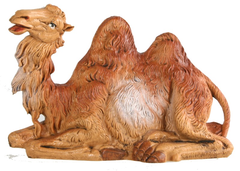 Kamel liegend Kamel liegend