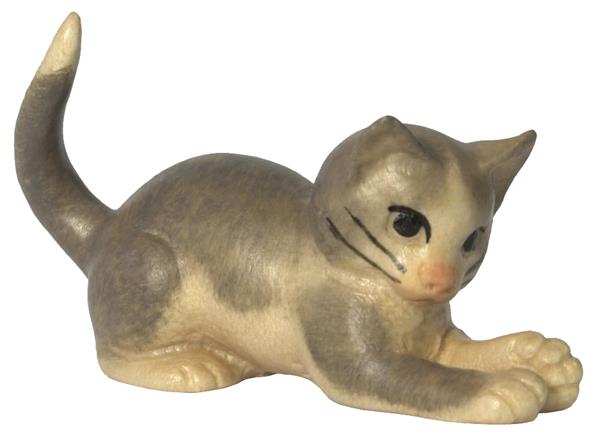 Katze Pfoten nach vorne grau-weiß