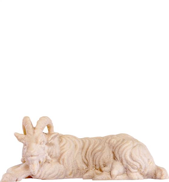 Ziege liegend Ziege liegend