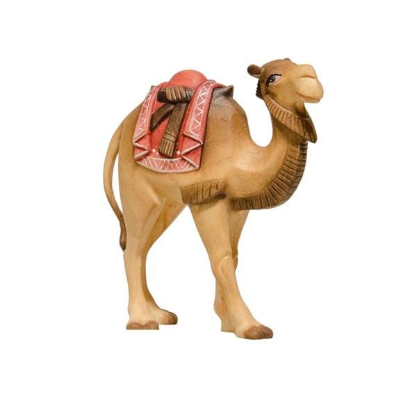 Kamel