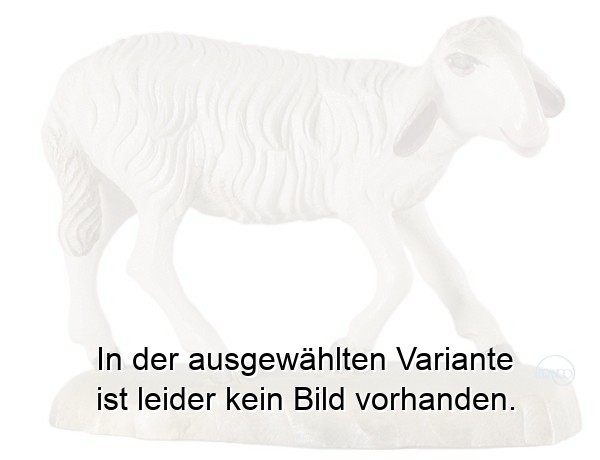 Schaf klein