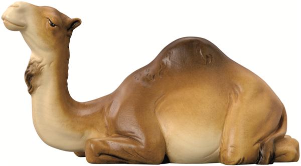 Kamel liegend Kamel liegend