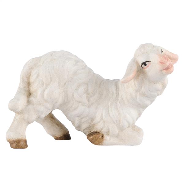 Schaf kniend Schaf kniend