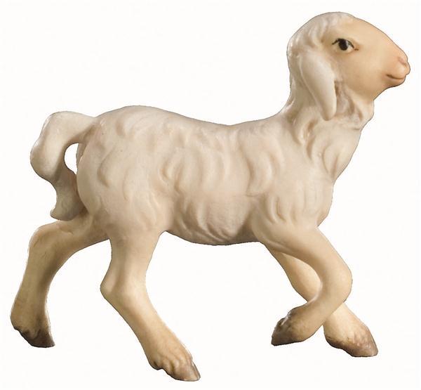 Lamm laufend