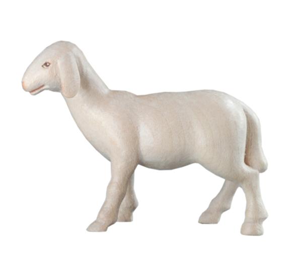 Schaf stehend 'M' Schaf stehend 'M'