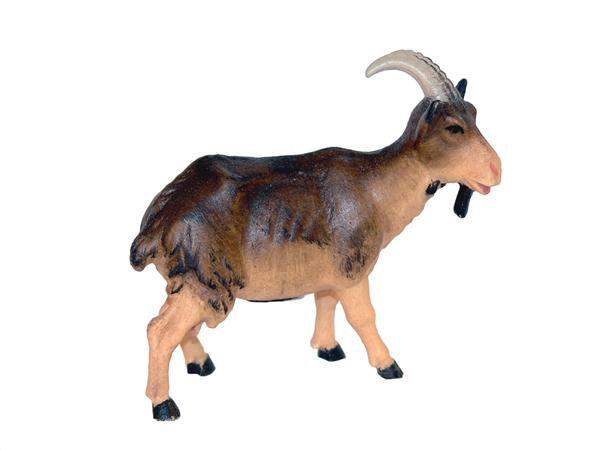 Ziege