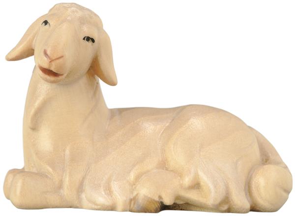 Schaf liegend