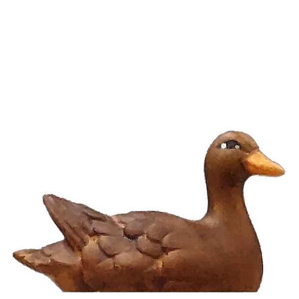 Ente schwimmend - Kopf rechts braun