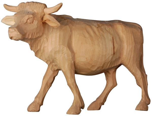 Ochs Zirbel