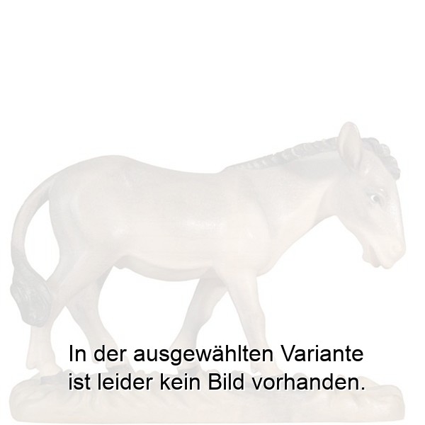 Esel Esel