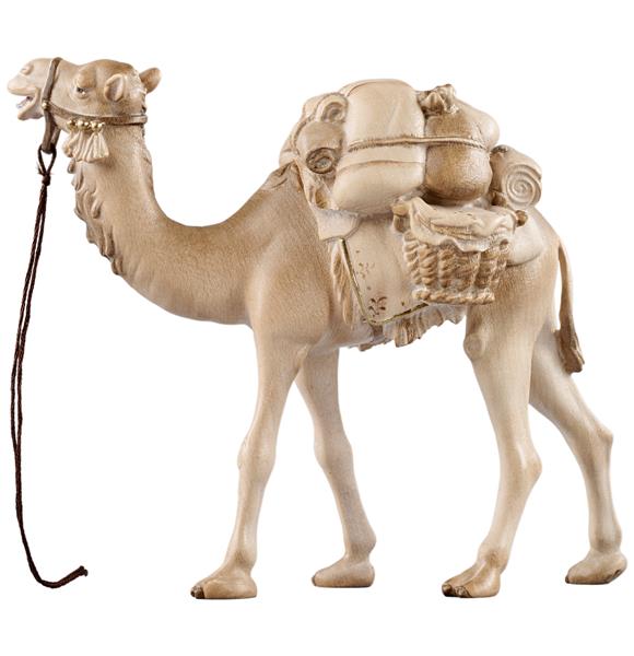 Kamel mit Gepäck