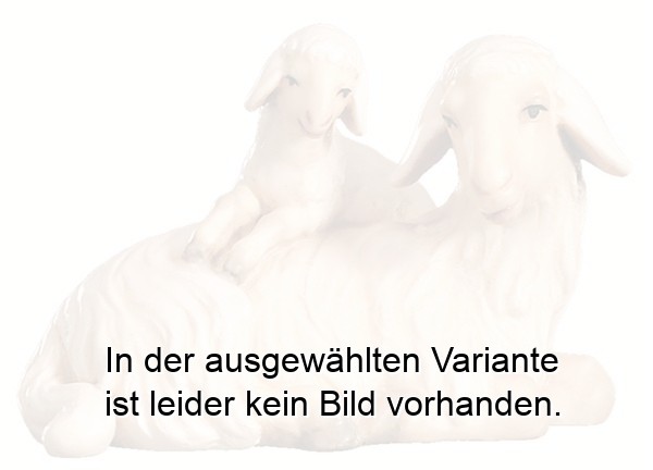 Schafgruppe liegend orientalisch