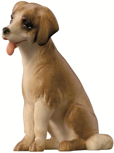 Hund modern