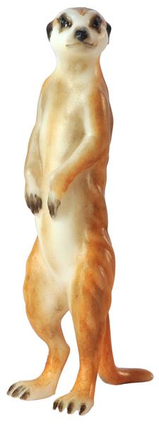 Erdmännchen stehend Erdmännchen stehend