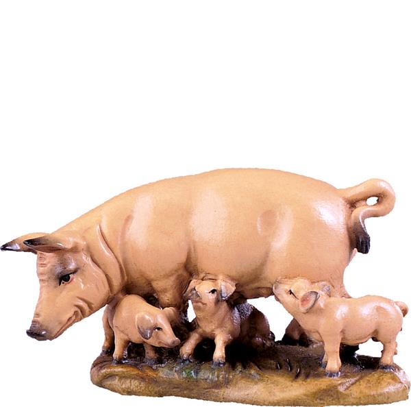 Schweinegruppe