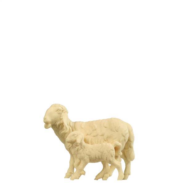 Schafgruppe stehend Schafgruppe stehend