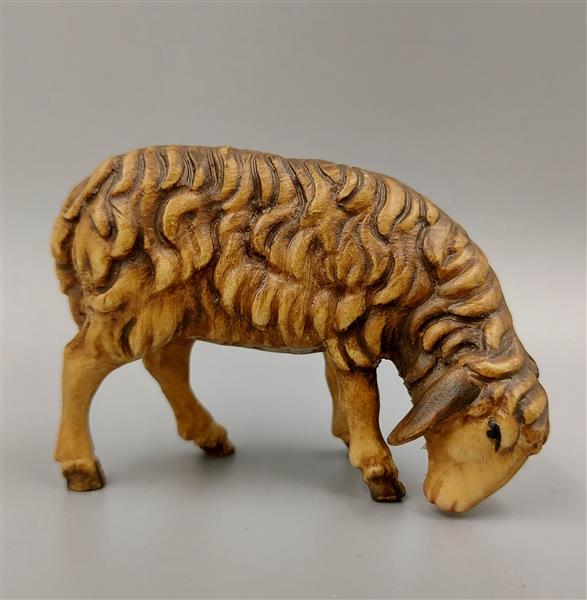 Schaf fressend rechts braun Schaf fressend rechts braun