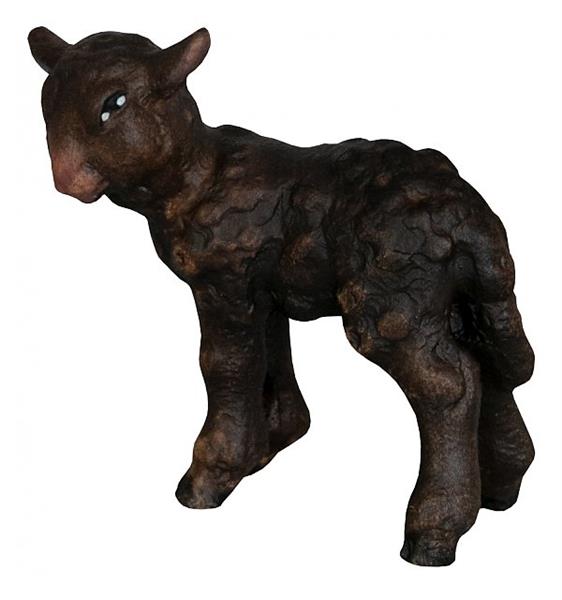 Schwarzes Lamm Schwarzes Lamm